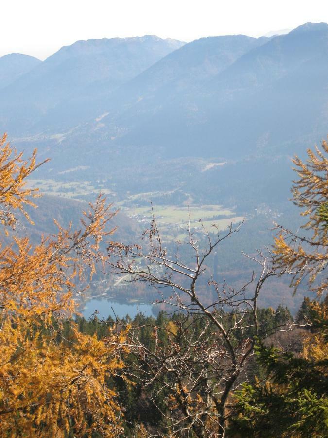 Apartments Pikon Bohinj Exteriér fotografie